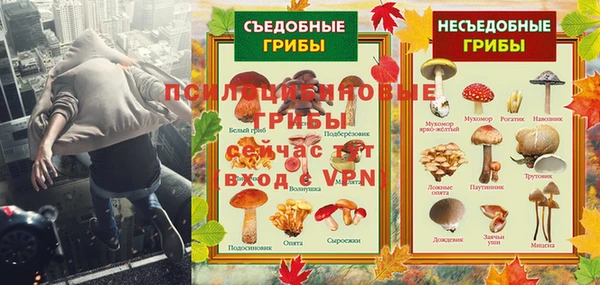 дурь Верхний Тагил