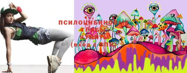 мдпв Богданович
