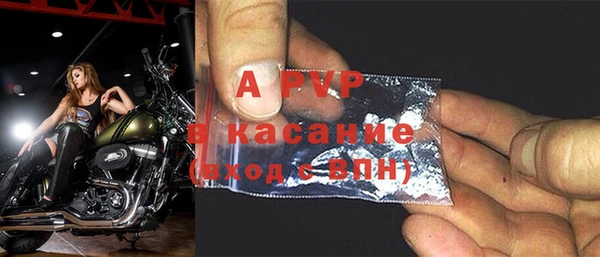 мдпв Богданович