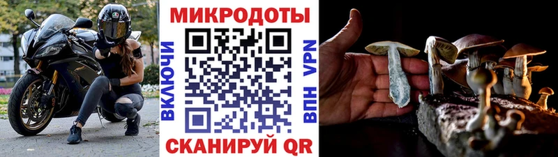 купить наркотик  Колпашево  Галлюциногенные грибы Magic Shrooms 